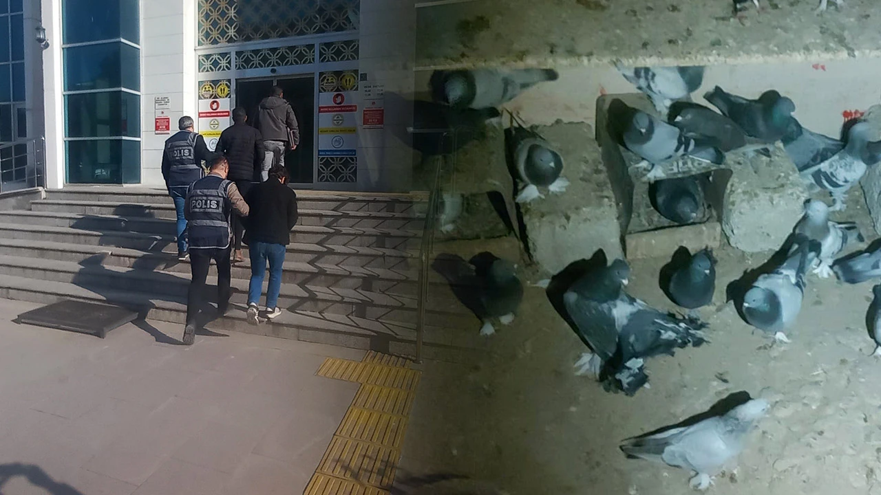 Kırşehir'de güvercin hırsızları yakalandı