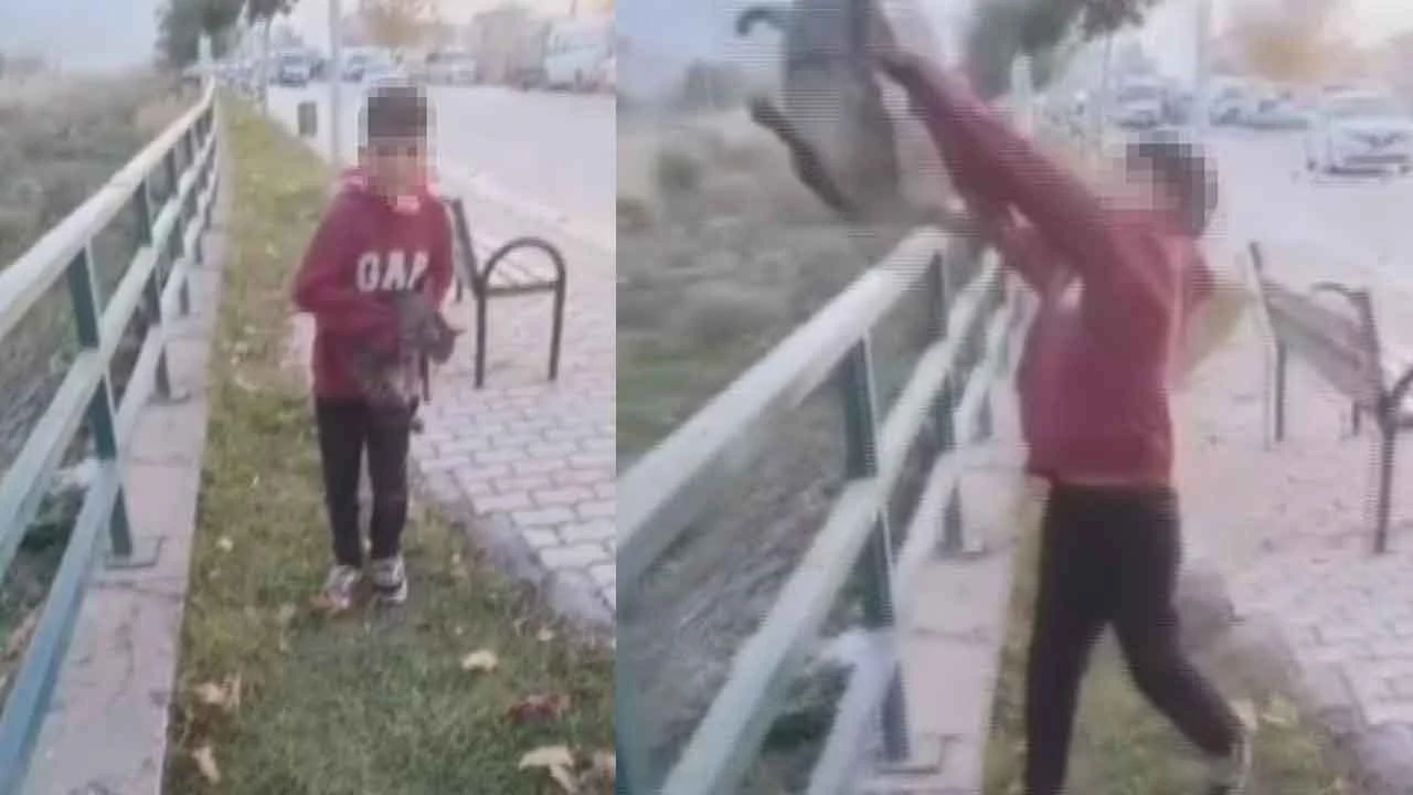 Hatay'da kedi dehşeti! Çocuğa bunu yaptırtıp TikTok'ta yayınlayan şahıs için karar