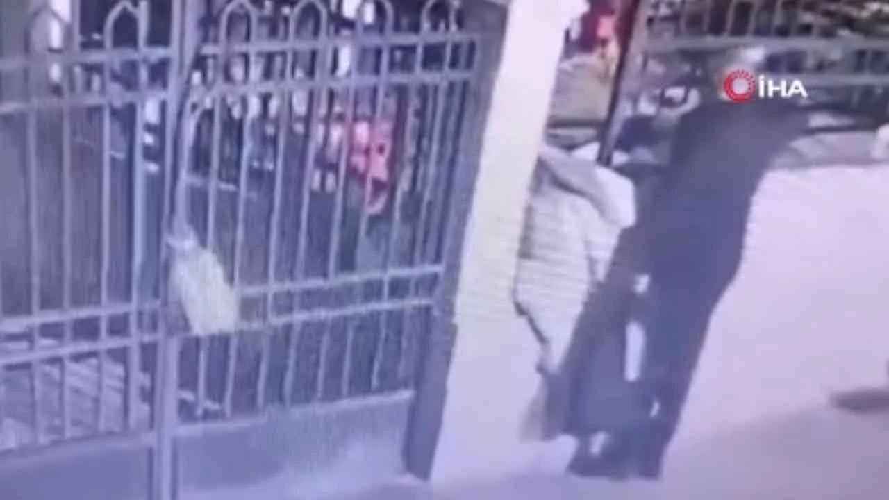 Cami avlusundaki kedileri torbaya atıp öldüren kişi akıl hastanesine alındı