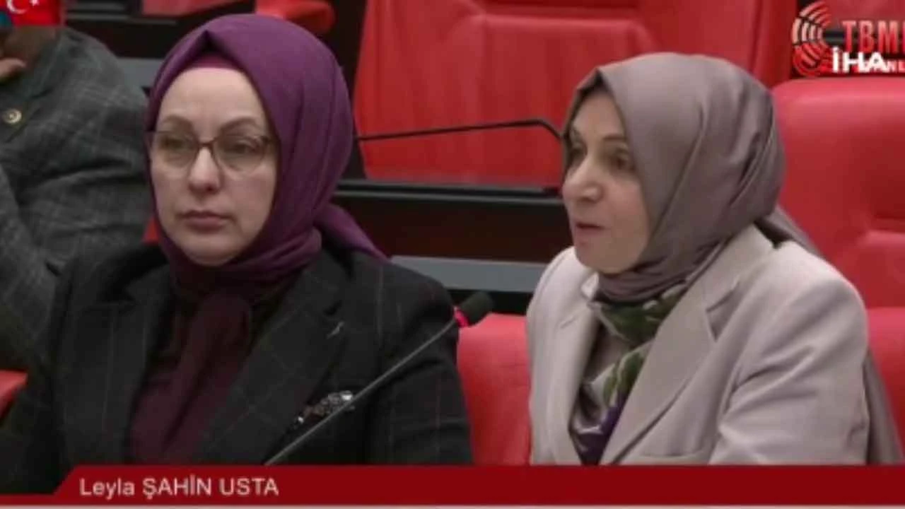 TBMM'de katliam tartışması! AK Partili Usta'ya DEM Partili Gergerlioğlu'ndan fotoğraf suçlaması