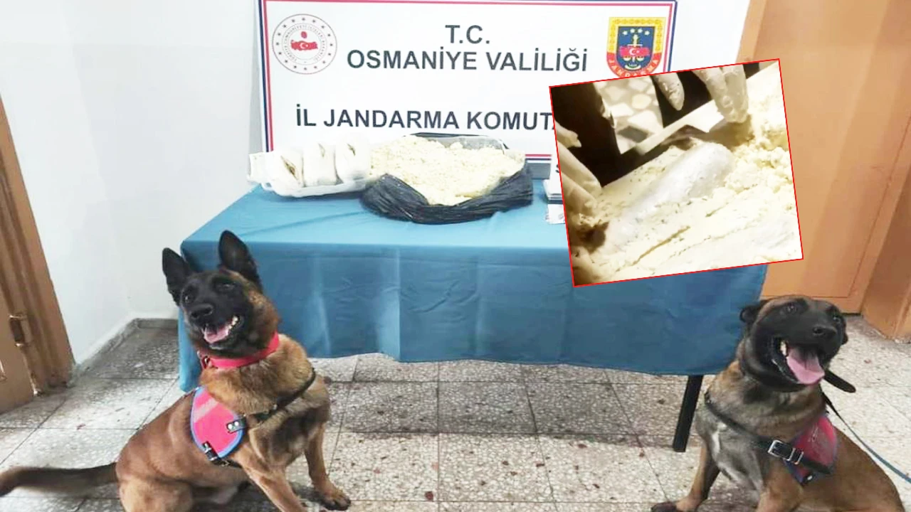 Peynir bidonunun içinden uyuşturucu çıktı