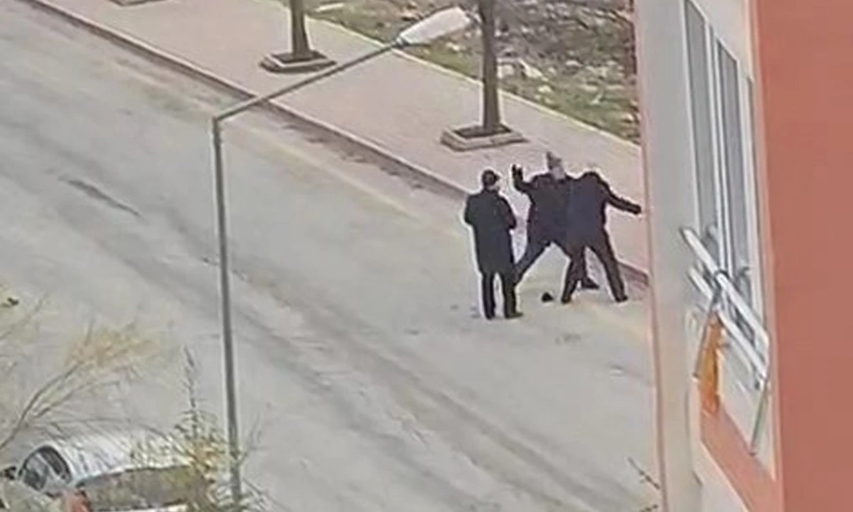 Dedelerin sokak ortasındaki kavgası kamerada: Yumrukları peş peşe indirdi