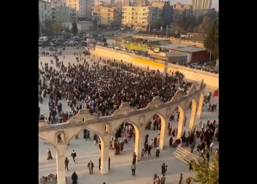 Şanlıurfa'daki Suriyeliler'den coşkulu kutlama! Esad gitti, sokaklara döküldüler