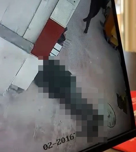 Dehşete düşüren görüntüler! Gözünü bile kırpmadan...