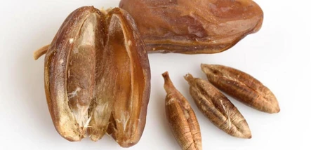 Çöpe atmadan iki kere düşünün: Kalbin şifası hurma çekirdeği faydaları duyanı şaşkına çeviriyor - Ekonomi