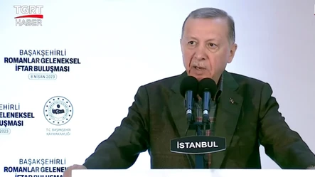 Cumhurbaşkanı Erdoğan'dan Romanlarla İftar Buluşması'nda ırkçılığa tepki: Kardeşliğimizi bozamayacaklar - Politika