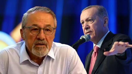 Erdoğan'ın 'Senin profesörlüğünden ne gelir