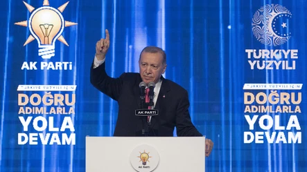 Cumhurbaşkanı Erdoğan’ın ‘müsvedde’ sözlerle tepki gösterdiği profesörün kim olduğu ortaya çıktı  - Gündem