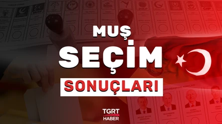 Son Dakika! Muş seçim Sonuçları 2023: Muş'ta hangi parti ne kadar oy aldı, kaç milletvekili çıkardı? - Secim-2023