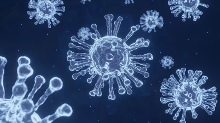 Hindistan'daki ölümcül Nipah virüsü yayılıyor! Yeni pandemi kapıda - Sağlık