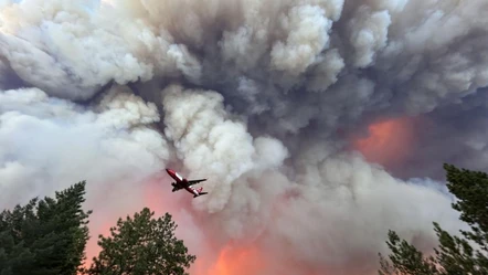 California'nın en büyük orman yangını! Alevlerle mücadele sürüyor - Dünya