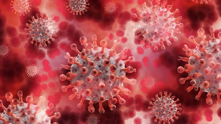 Serap Şimşek Yavuz'dan korkutan koronavirüs uyarısı: 'Yeni varyantla pik yapıyor' - Sağlık