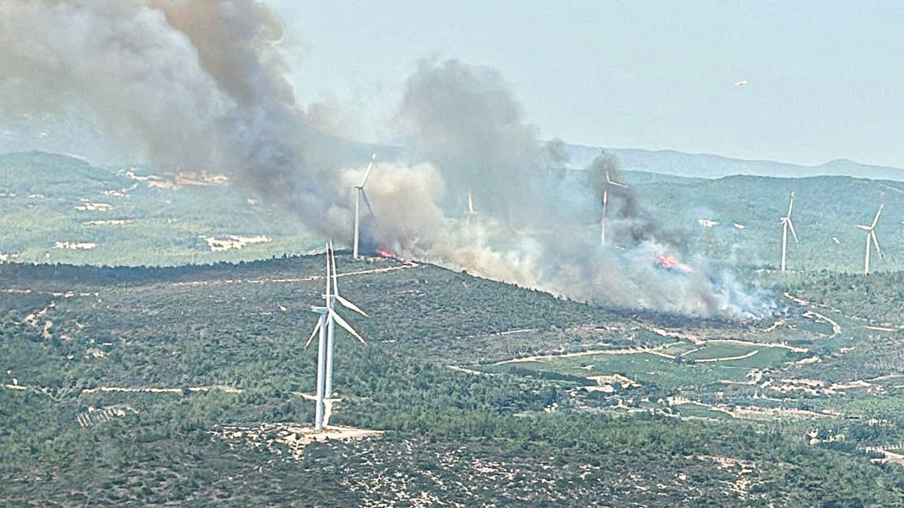 İzmir Urla'da çıkan yangına havadan ve karadan müdahale ediliyor - Aktüel