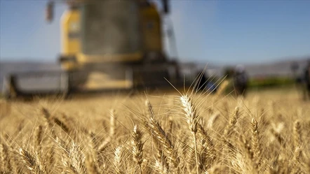 Tarımsal destekleme ödemeleri bugün üreticilerin hesaplarına geçecek - Aktüel