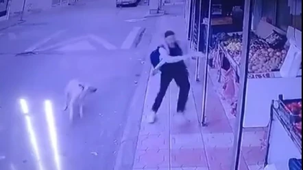 Kahramanmaraş'ta köpek saldırısı! Köpekten kaçarken düştü, son anda markete sığındı - Gündem