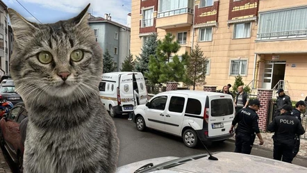 Kedi yüzünden dehşet saçtı! 80 yaşındaki adam, 2 kişiye kurşun yağdırdı - Gündem