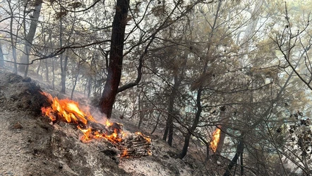 Muğla Dalaman'da çıkan orman yangınında müdahaleler sürüyor - Aktüel