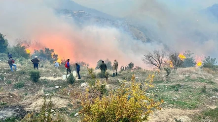 Hatay'da orman yangını evlere kadar sıçradı! Çevre illerden destek istendi - Gündem