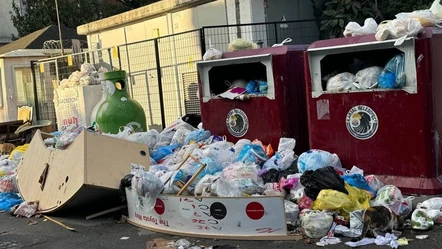 Kartal çöp dağlarıyla boğuşuyor! İşçiler iş bıraktı, ortalık kokudan geçilmiyor - Gündem