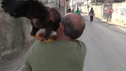 Garip dostluğu görenler şaşırıyor! Motosiklete binip tur atıyorlar: 20 bin TL teklif ettiler - Yaşam