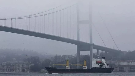 İstanbul Boğazı'nda gemi trafiği askıya alındı - Gündem