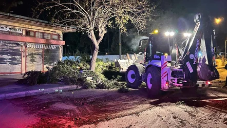 Hatay'da kuvvetli fırtına! Ağaçları yerinden söktü, çatılar uçtu - Gündem