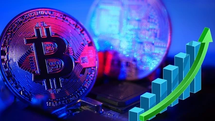 Bitcoin balinaları düşüşü fırsat bildi: Bol bol topladılar! BTC 2024'ü pozitif mi kapatacak? - Ekonomi