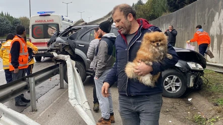 Kazada yaralanan sürücü köpeğini bir an olsun bırakmadı - Gündem