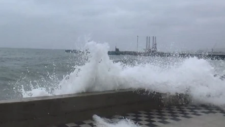 Marmara Denizi'nde ulaşımına poyraz engeli! Ulaşım durma noktasına geldi - Gündem