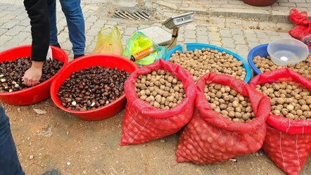 Vatandaşın sağlığı hiçe sayıldı! Kestanedeki hile herkesi şok etti - Gündem