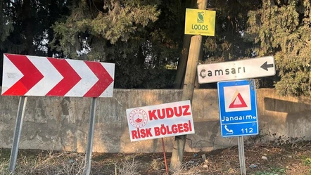 Hatay'da kuduz alarmı! Biri çocuk iki kişiyi ısırdı, ölüm haberi geldi! - Gündem