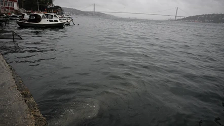 Üsküdar'da mide bulandıran deniz görüntüsü: 'İnsan dışkısıyla doluyor' - Gündem