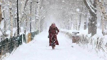 Zemheri ne zaman bitecek? Zemheri soğukları merak ediliyor - Aktüel