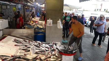 Balıkçılar rüzgarın etkisiyle denize açılamadı! Balık fiyatları sert yükseldi - Ekonomi