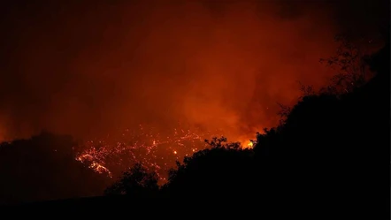 Kaliforniya'da yeni yangın tehlikesi! Bölgede rüzgarlar şiddetlendi - Dünya