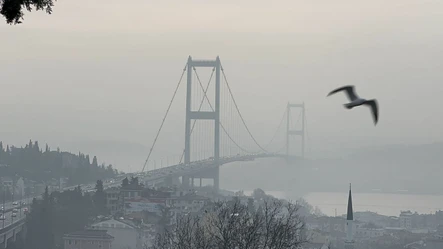 İstanbul'da göz gözü görmüyor! Sis megakenti kapladı, Boğaz'da gemi trafiği durdu - Gündem