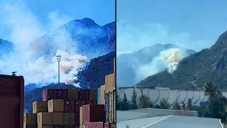 Antalya'da orman yangını! Ekiplerin alevlere müdahalesi sürüyor - Gündem