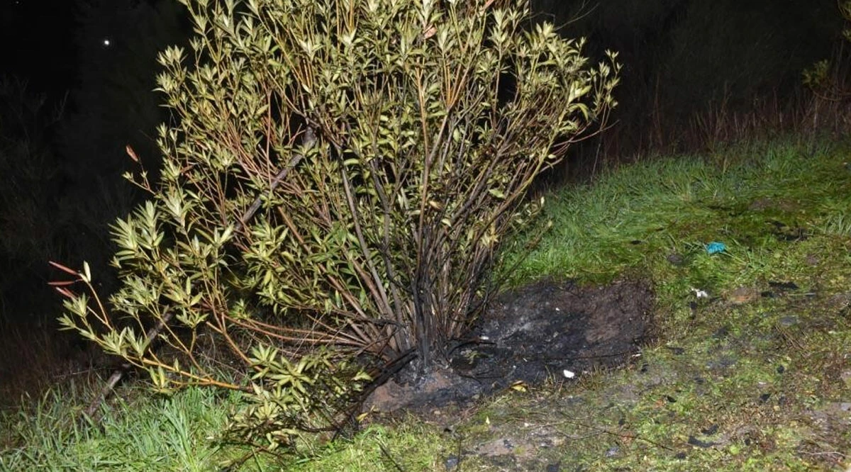 Valize konulup yakılmıştı! Cesedin kimliği belli oldu