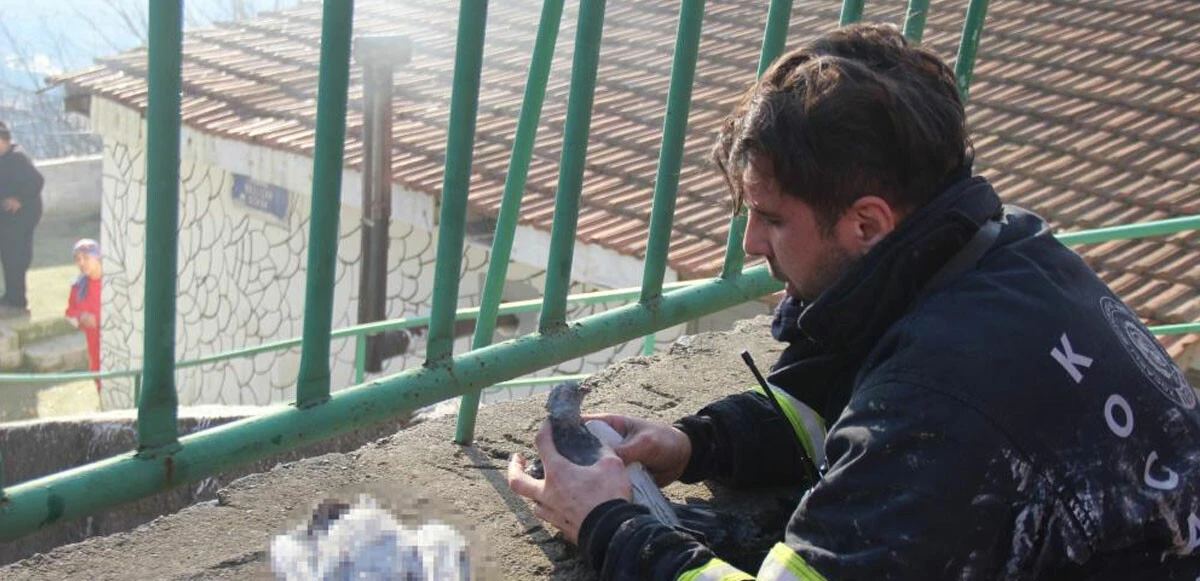 Telef olan köpeklerinin çantasına sarılarak gözyaşlarına boğuldu