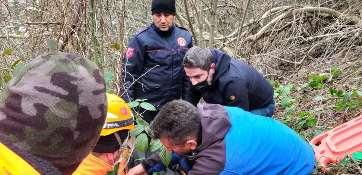 Artvin'de kamyonet uçuruma yuvarlandı: 2 ölü