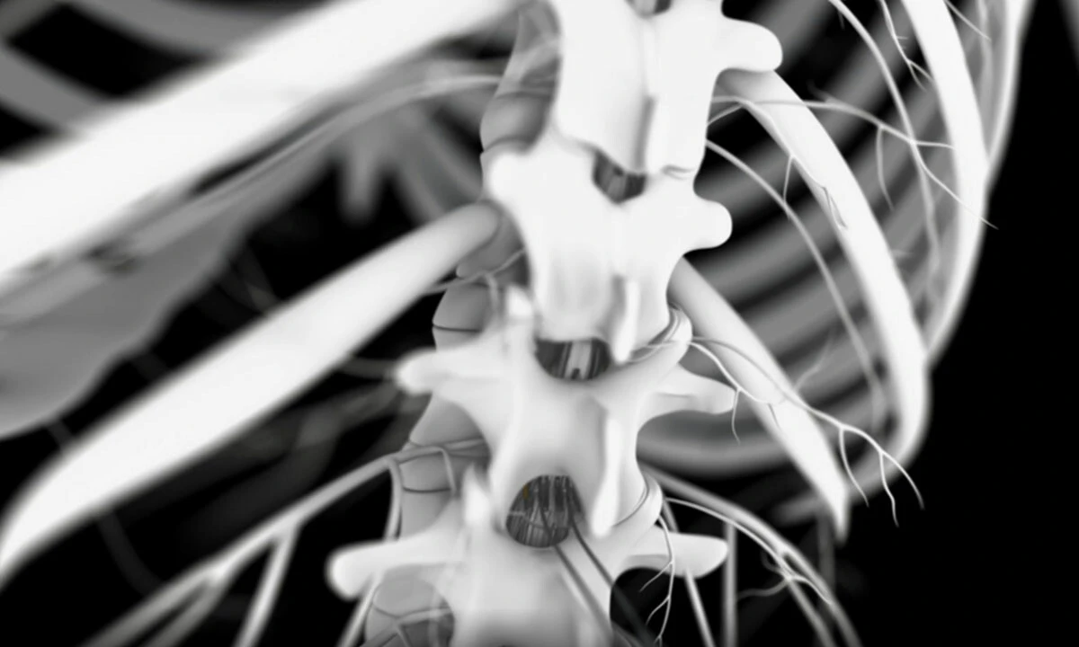 Bilim insanlarından tarihi çalışma: Felçli hasta yeniden yürüdü