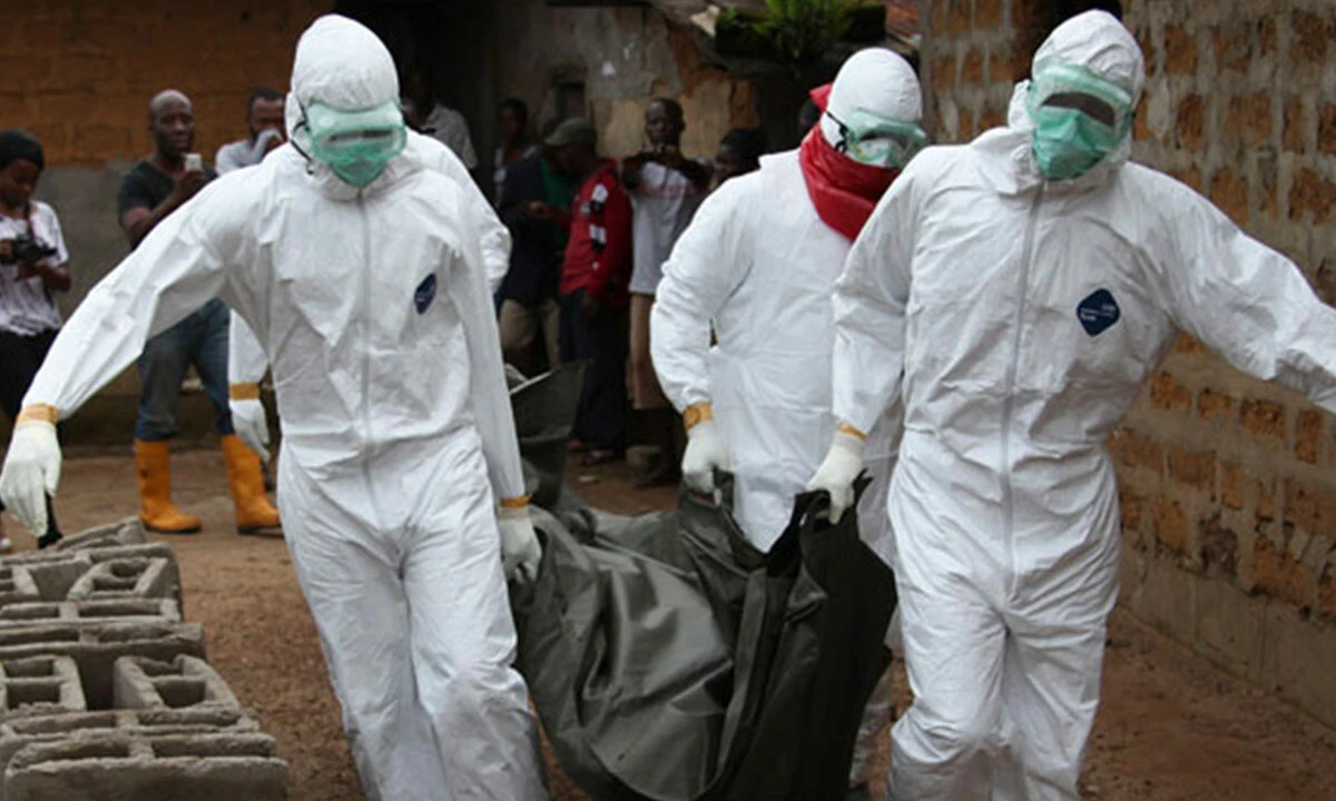 Bilim insanları, korkutan Ebola gerçeğini açıkladı