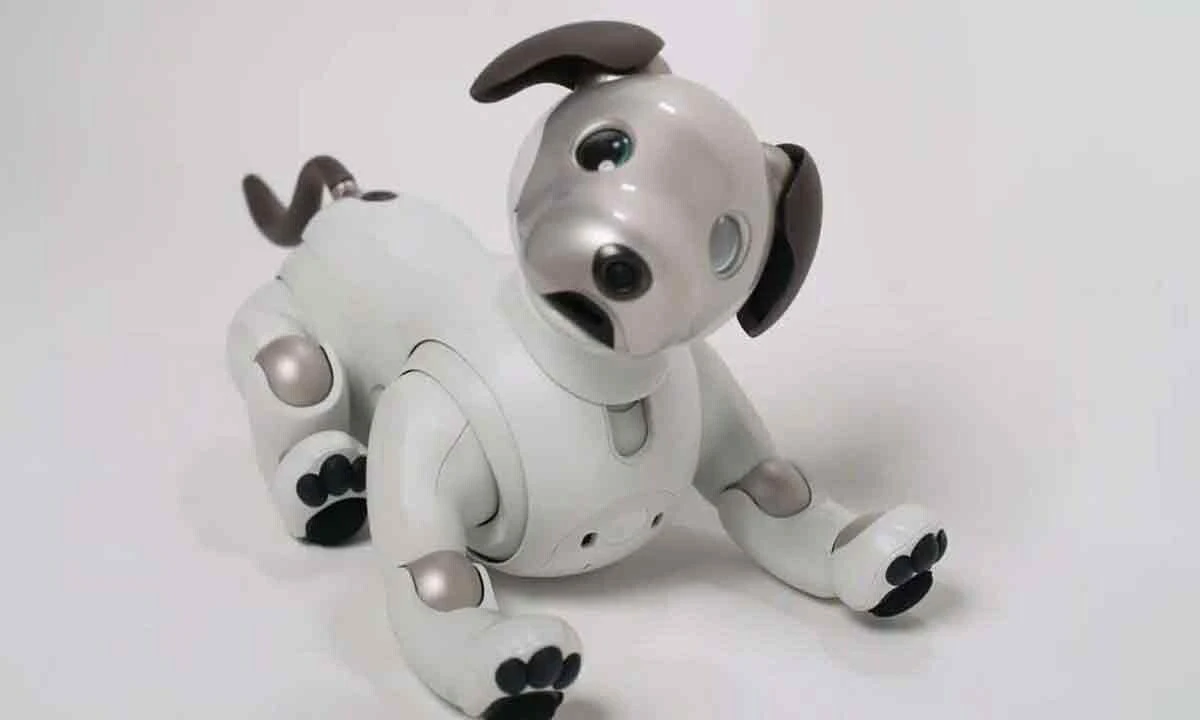 Sony'den çılgın fikir: Robot köpeklere bebek muamelesi