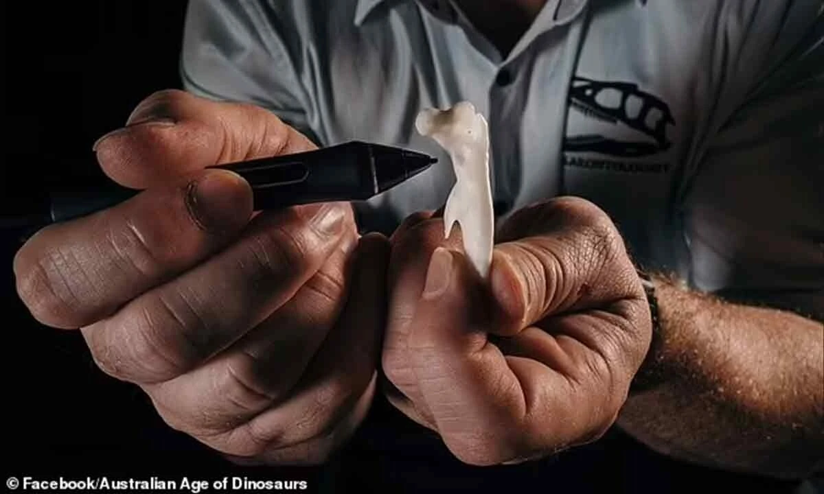 95 milyon yıllık timsahın midesinde dinozor kalıntıları bulundu