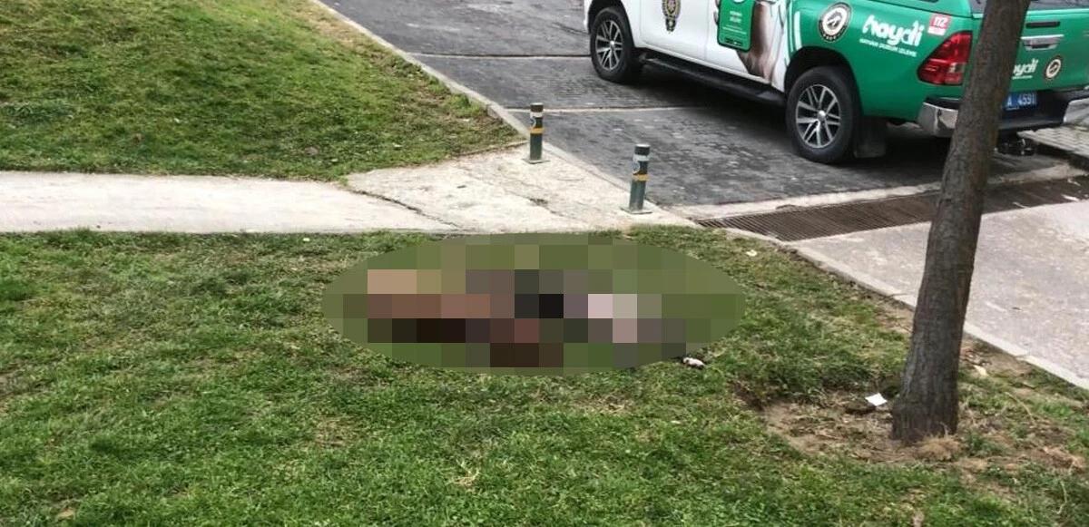 Çocuk parkında dehşet: Beslediği pitbull köpeklerini infaz etti