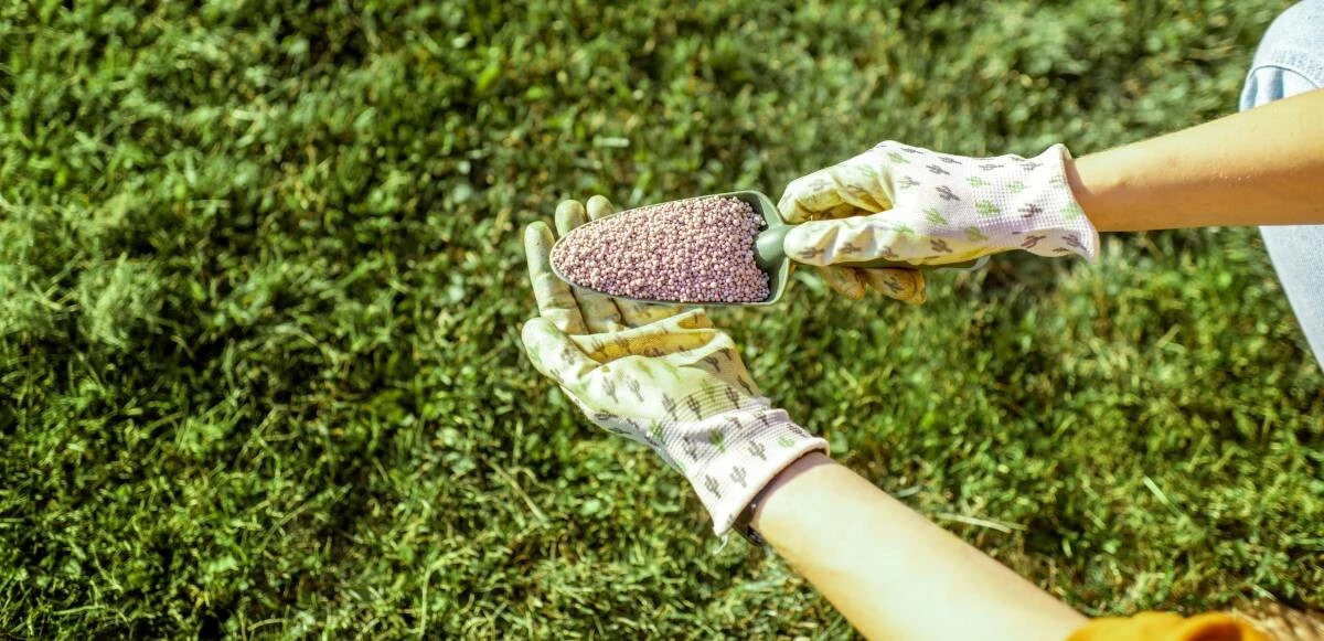 Can gübresi ne kadar? Karma hayvan gübresi fiyatı ne oldu? İşte indirim sonrası gübre fiyatları