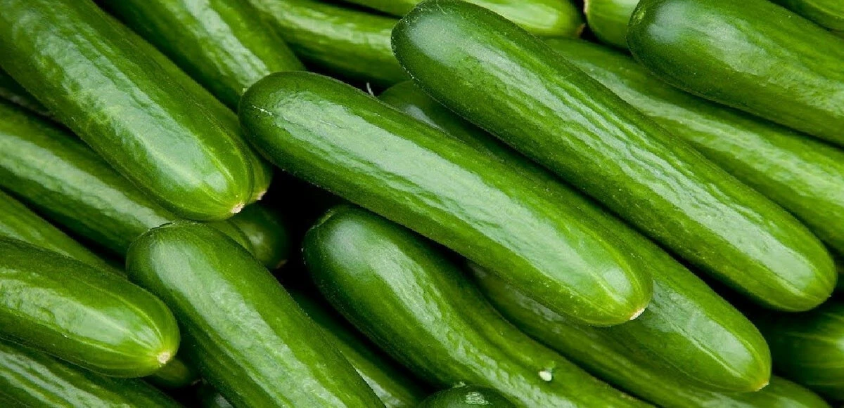 Salatalığın 'tuzlu' yolculuğu: Tarladan sofraya 10 kat artıyor!