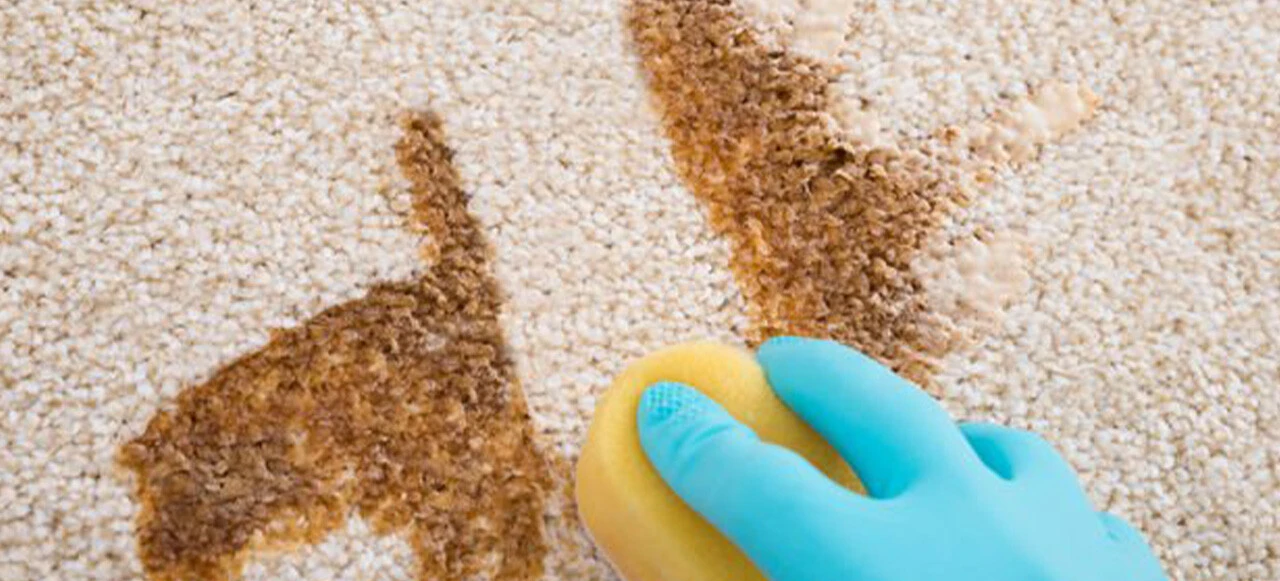 Çay lekesi nasıl geçer, nasıl çıkartılır? Halıda, koltukta kurumuş çay lekesini çıkaran yöntemler...