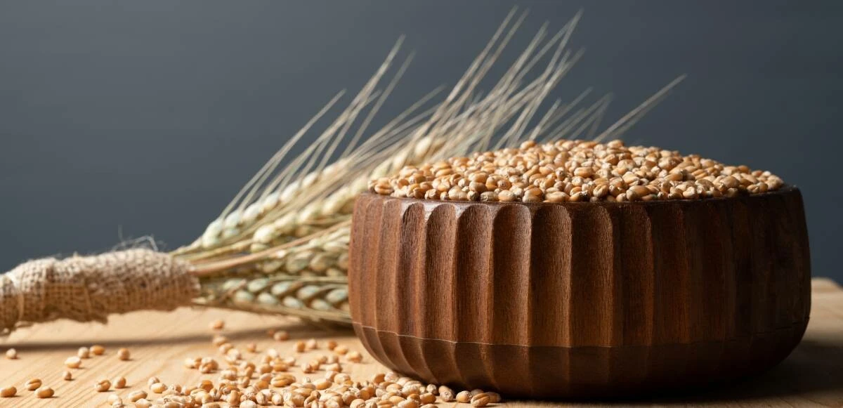 Ekmek fiyatları artacak mı? Rusya Ukrayna savaşı gıda krizi çıkarır mı?