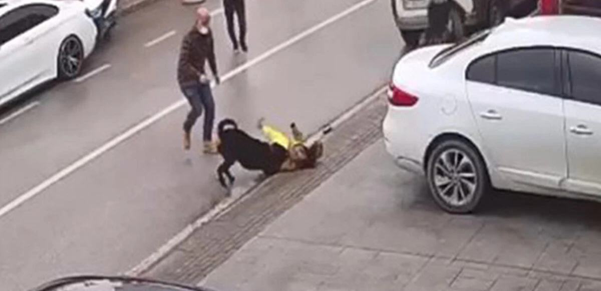 Kocaeli'de köpeğin saldırısına uğrayan kadın kucağındaki çocuğu bırakıp kaçtı